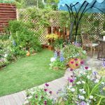 Creative Garden Ideas for Beginners